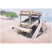 On the beach, East Timor.jpg